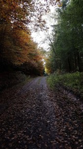 Männersport Wandern Ense