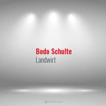 bodo-schulte-logo